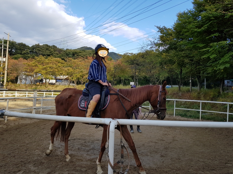[꾸미기]흥미진진체험활동(승마체험).jpg