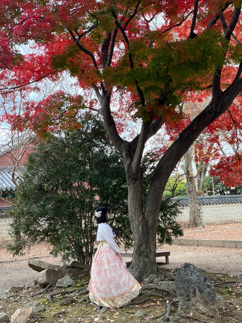 KakaoTalk_20221125_101803961_06.jpg