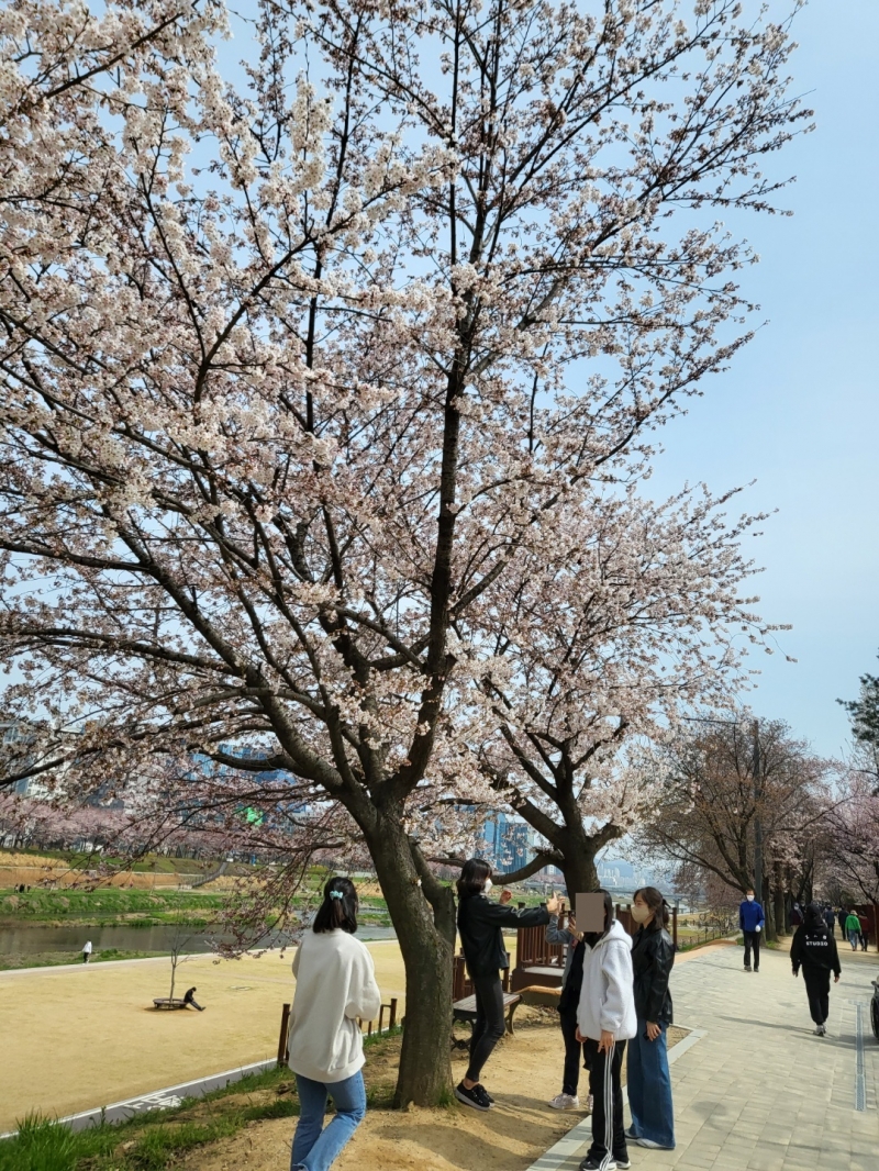 KakaoTalk_20220411_130345800_06.jpg