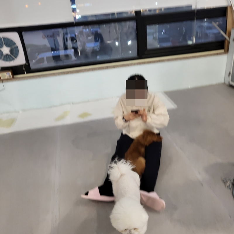 KakaoTalk_20220506_143840391_01.jpg