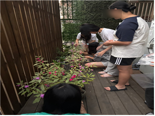 SE-e55f0783-a9cd-4814-ad1b-cca08af8ef79 (1).png
