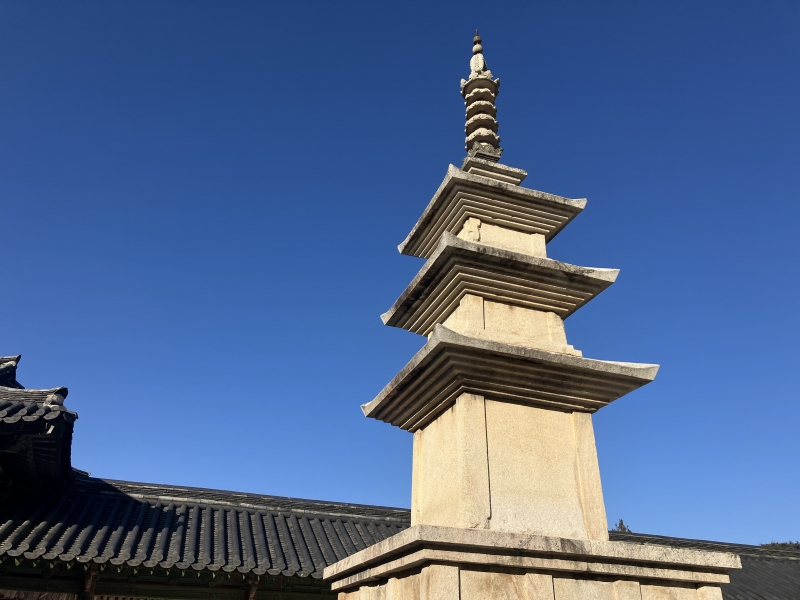 KakaoTalk_20250219_093328091_06.jpg