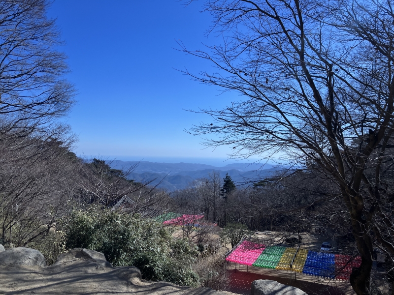 KakaoTalk_20250219_093344149_10.jpg
