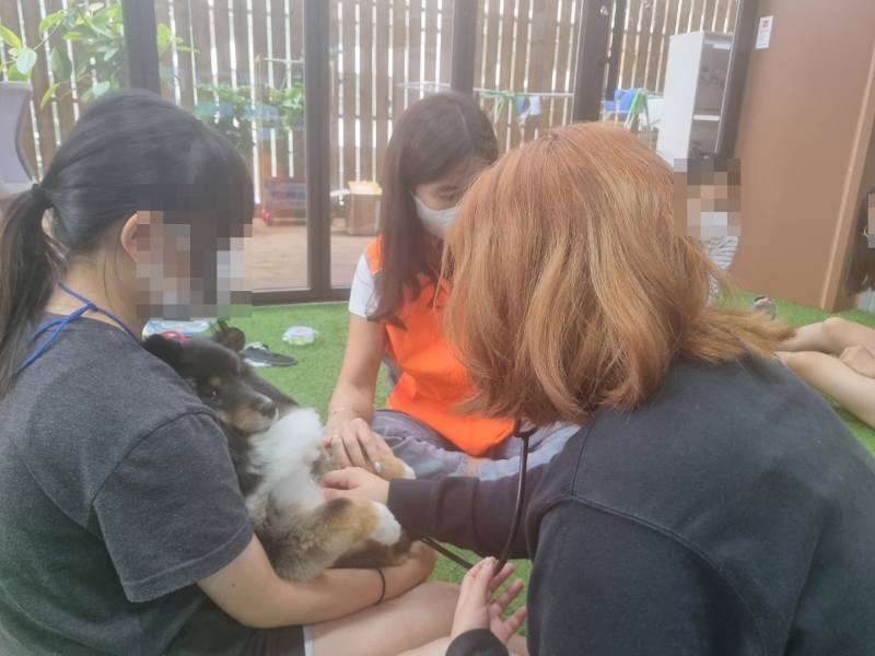 KakaoTalk_20220729_101608269_11.jpg