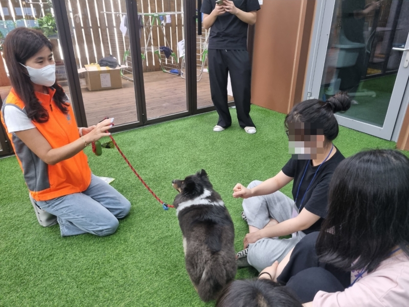 KakaoTalk_20220729_101608269_01.jpg