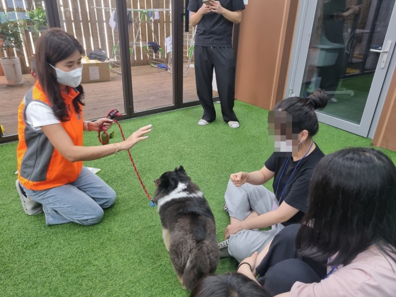 KakaoTalk_20220729_101608269_03.jpg