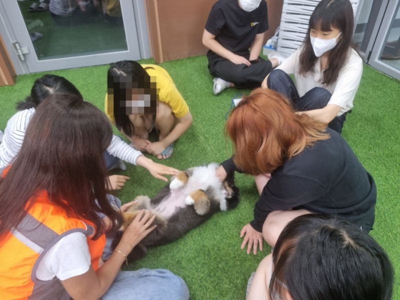 KakaoTalk_20220729_101608269_12.jpg