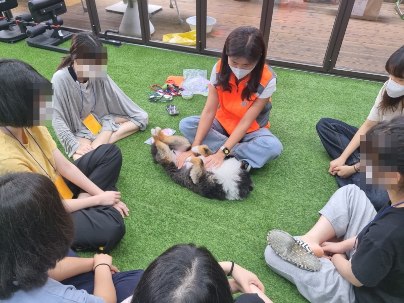 KakaoTalk_20220729_101608269_09.jpg