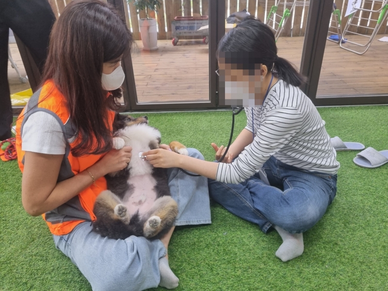 KakaoTalk_20220729_101608269_10.jpg
